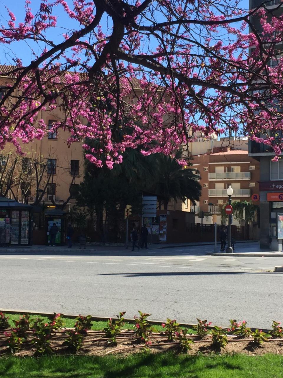Hotel Cosmos Tarragona Dış mekan fotoğraf