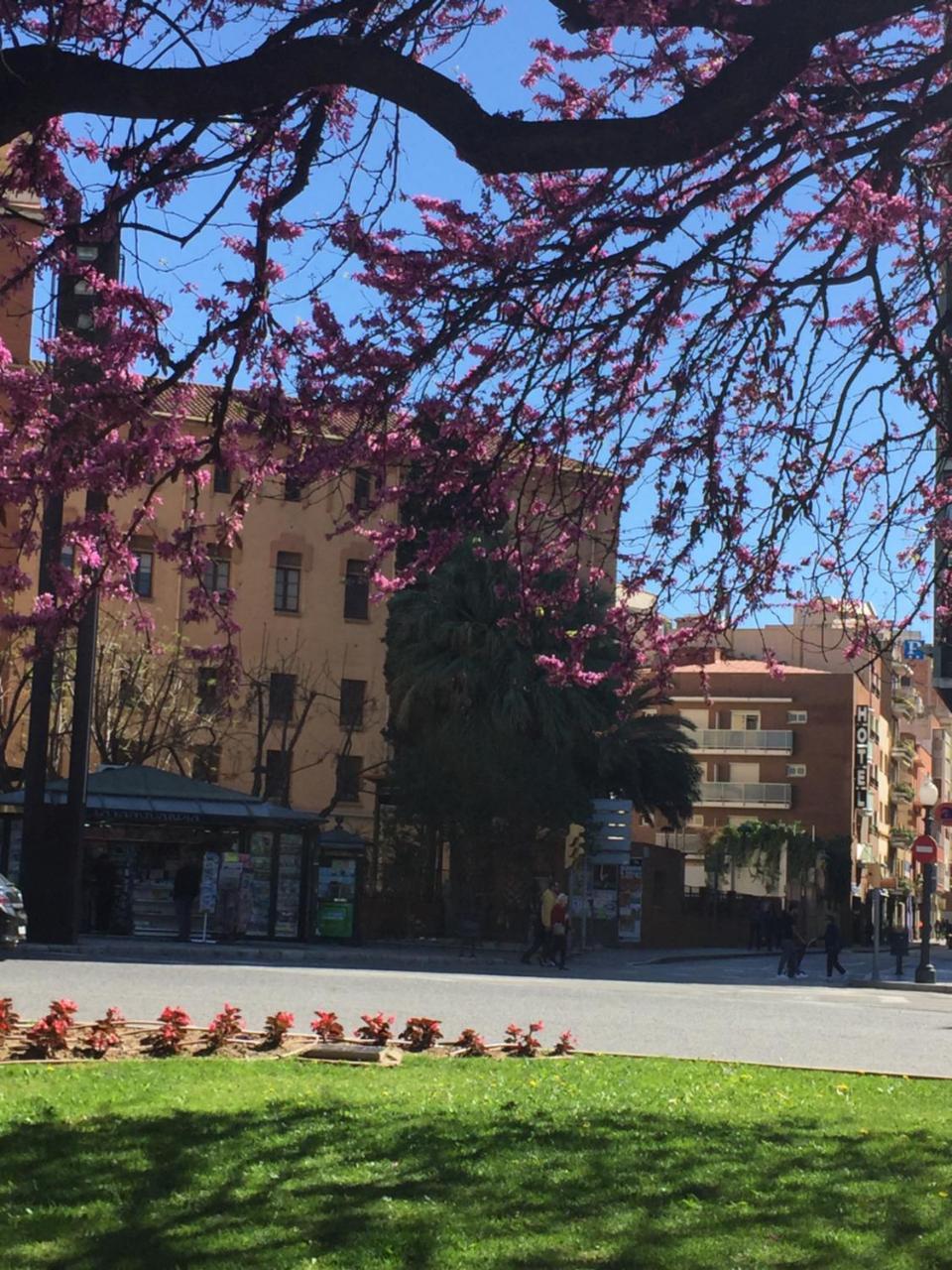 Hotel Cosmos Tarragona Dış mekan fotoğraf